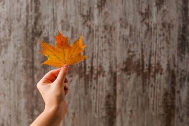 El ile sarı turuncu bırakır. Ahşap açık renkli.