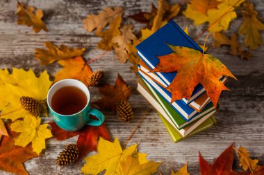 Autumn.A bardak çay. Kitap renkli. Sarı kırmızı yapraklar
