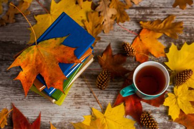 Autumn.A bardak çay. Kitap renkli. Sarı kırmızı yapraklar