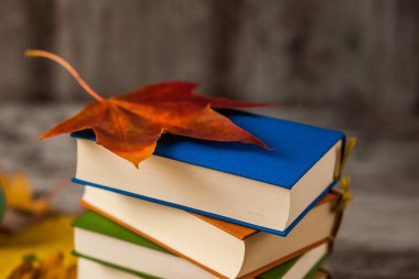 Mavi kitap sonbahar turuncu yaprak akçaağaç