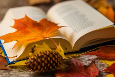 Sonbahar ile açık kitap üzerine bırakır. Sarı turuncu kırmızı. Arka plan.