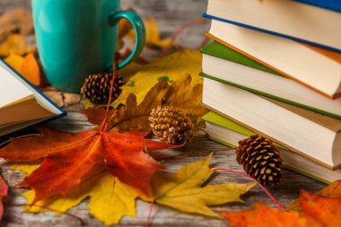 Sonbahar. Kitap. Bir fincan çay. Sarı kırmızı yapraklar. Ahşap arka plan