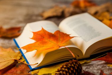 Sonbahar ile açık kitap üzerine bırakır. Sarı turuncu kırmızı. Arka plan.