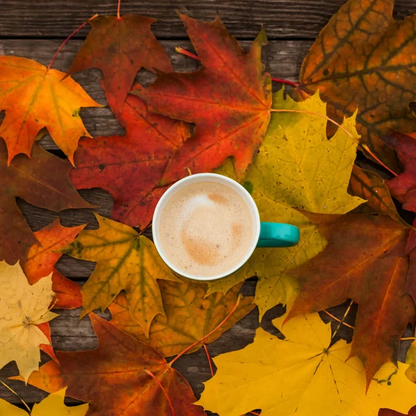 Arka plan eski koyu ahşap plakalar üzerinde kahve fincan kapuçino ve sonbahar yaprakları.