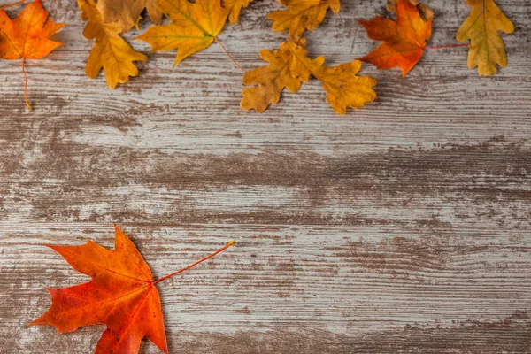 Kırmızı meşe Akçaağaç Sonbahar yaprakları sarı. Ahşap arka plan üzerinde. Doku