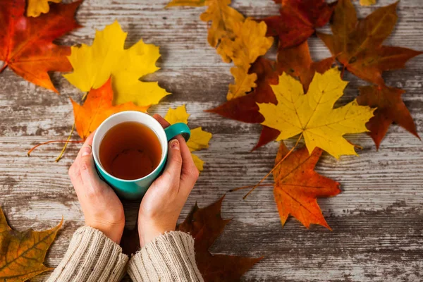 a hot Cup of tea in the hands of the girls. Autumn leaves.