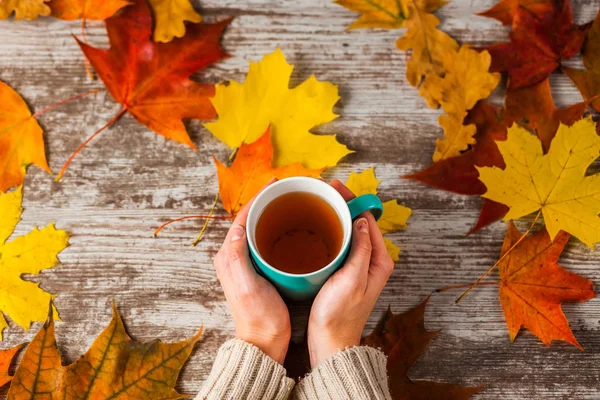a hot Cup of tea in the hands of the girls. Autumn leaves.