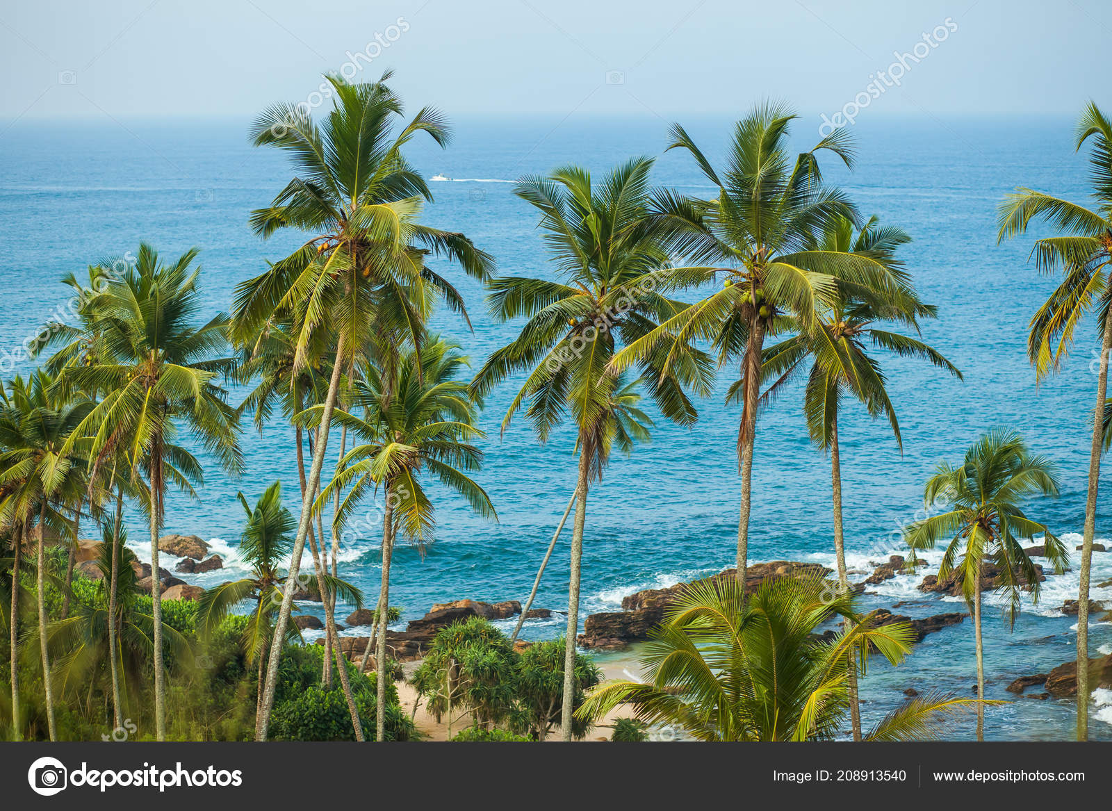 Ocean With Palm Trees Backgrounds Palm Trees Background Ocean Stock Photo C Smeilov Ocean With Palm Trees Backgrounds Palm Trees Background Ocean Stock Photo C Smeilov