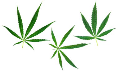 esrar kümesini ayrı tut moduyla bırakır