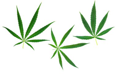 esrar kümesini ayrı tut moduyla bırakır