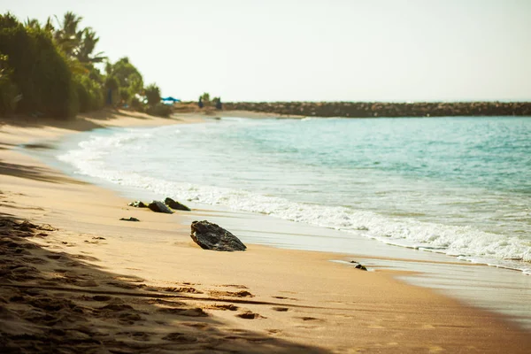 日当たりの良い砂浜 — ストック写真