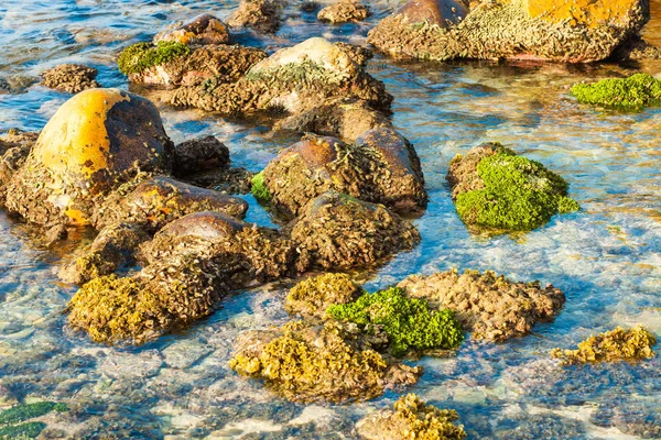 海海を背景に突き出て石 — ストック写真