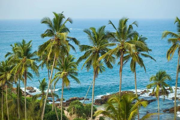 Palmbomen Achtergrond Van Oceaan — Stockfoto