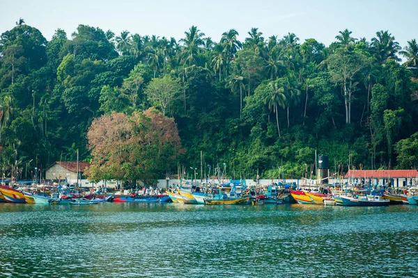 Пристані Рибалок Шрі Ланці — стокове фото