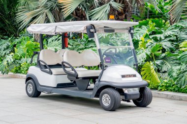 tropik bir Golf arabası sürücü