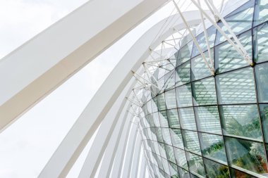 Singapur, 22 Ocak 2019: Gardens by the Bay