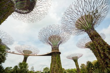 Singapur - 22 Ocak 2019 : Bay Garden'daki Supertrees