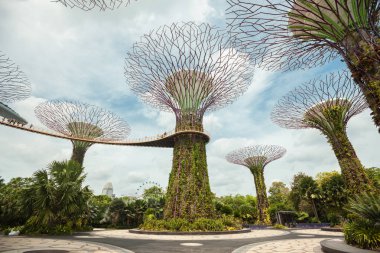 Singapur - 22 Ocak 2019 : Bay Garden'daki Supertrees