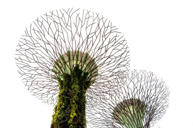 Singapur - 23 Ocak 2019 : Körfezin bahçesindeki supertrees