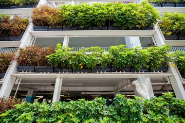 Singapur duvarlarda Yeşil bitkiler