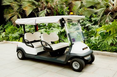 Elektrikli Golf makinesi