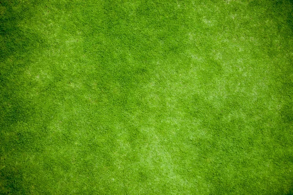 Grünes Gras, Rasen von oben — Stockfoto