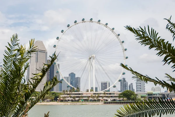 싱가포르의 관람차 — 스톡 사진