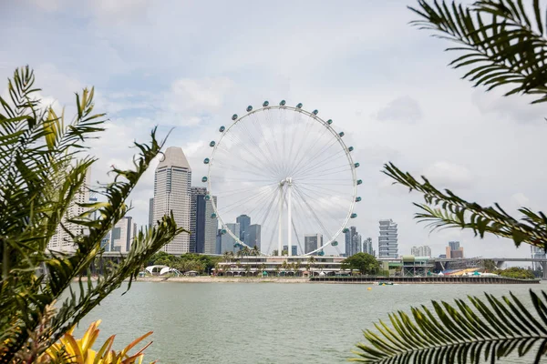 싱가포르의 관람차 — 스톡 사진