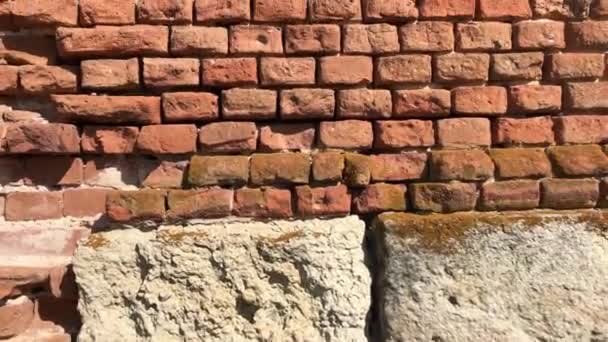 La pared de la antigua iglesia abandonada de ladrillo rojo — Vídeos de Stock