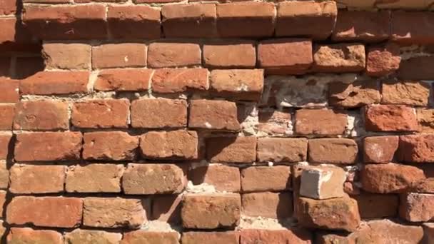 Old red brick wall background — Stock Video