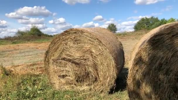 Rollos de heno en el campo — Vídeo de stock