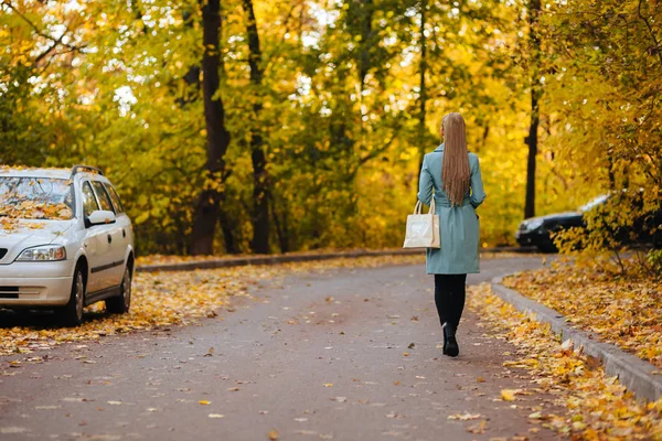 Menina andando na estrada de outono vista traseira — Fotografia de Stock