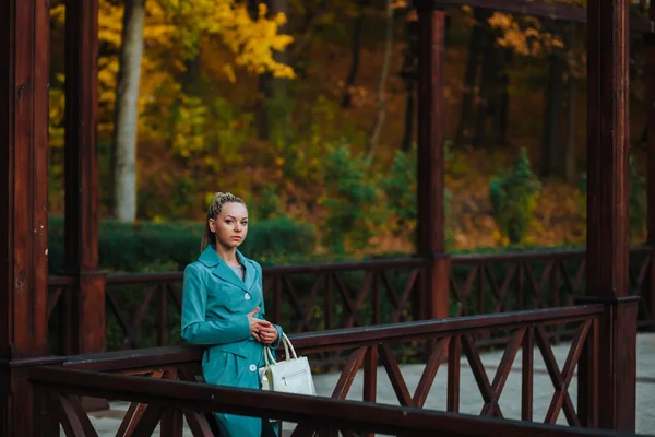 Retrato de uma menina no parque de outono — Fotografia de Stock