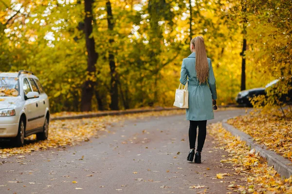 Menina andando na estrada de outono vista traseira — Fotografia de Stock