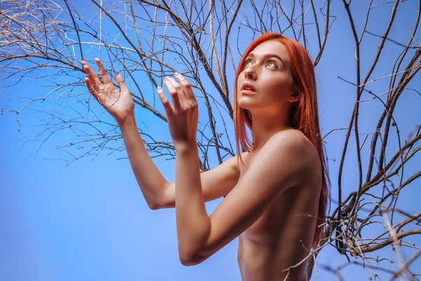 青い背景に乾燥した枝に裸の赤髪の女の子. — ストック写真