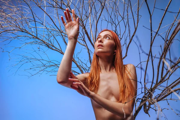 Fille aux cheveux roux nus dans des branches sèches sur un fond bleu . — Photo