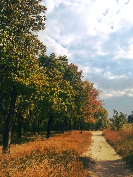 Zöld Park Város Naplemente Gyakorlása Pihenjen — Stock Fotó