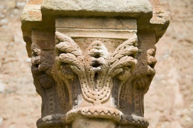 Soria içinde San Juan de Duero manastır manastır. İspanya