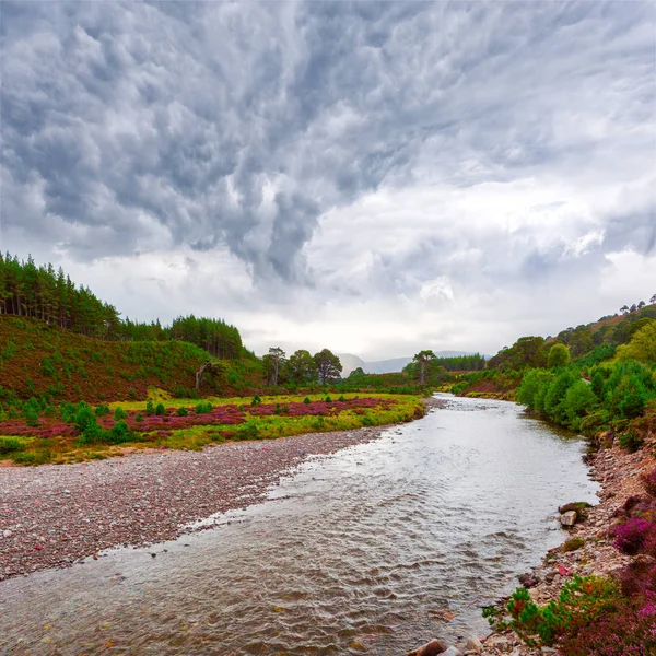 Skoç Manzara Manzara Menekşe Heather Çiçek Sığ Nehir Kıyısında Cairngorms — Stok fotoğraf