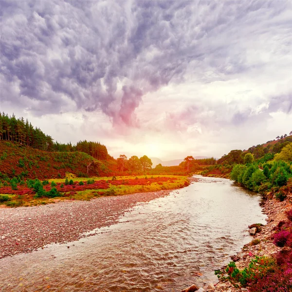 Schottische Landschaft Mit Violetten Heidekrautblüten Und Seichtem Fluss Nationalpark Cairngorms — Stockfoto