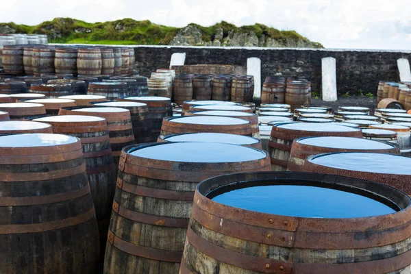 Velhos Barris Barris Madeira Estão Sob Céu Aberto Amadurecendo Scotch — Fotografia de Stock