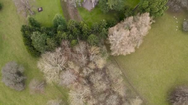 Vista Aérea Las Ruinas Abadía Dryburgh Orillas Del Río Tweed — Vídeos de Stock