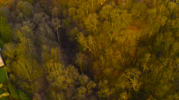 Luchtfoto Van Ruïne Van Middeleeuwse Kasteel Campbell Glen Dollar Clackmannanshire — Stockvideo