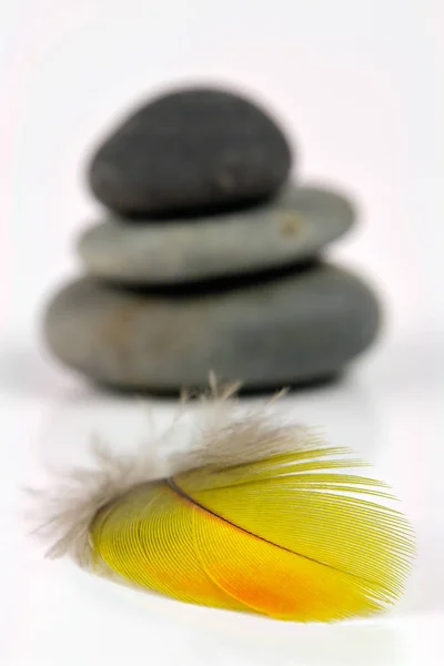 Pluma Con Torre Piedra Fondo —  Fotos de Stock