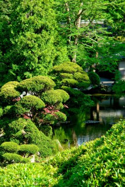 Japon Bahçe almak öğleden sonra Ca