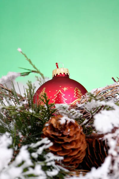 Adorno Rojo Nido Nieve — Foto de Stock