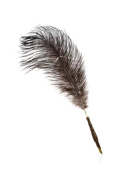Feather Quill Isolated White Background — Stock Photo, Image