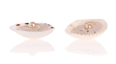 Bir midye kabuğu beyaz inci