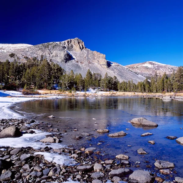 Yosemite Milli Parkı öğlen