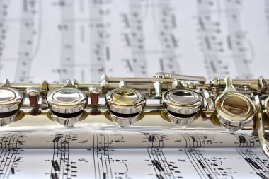 bir müzik bir flüt